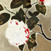 Reiki Yamaguchi Gallery